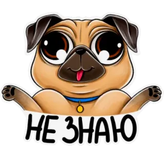 🤔 af388adb НЕ ЗНАЮ dog, pug, cartoon, cute, I don't know telegram sticker