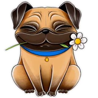 🙂 bd0d4442 pug, dog, flower, animal, sticker, cute telegram sticker