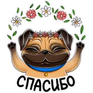 🤗 e4297b26 СПАСИБО pug, dog, thank you, flowers, wreath, cute telegram sticker