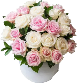 🌹 038ea709 mawar, bunga, buket, rangkaian bunga, mawar merah muda, mawar putih telegram sticker