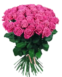 💐 0634292e mawar, buket, bunga, mawar merah muda, rangkaian bunga, hadiah, romansa telegram sticker