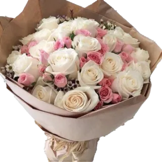 🌹 33e0942c Buket, Bunga, Mawar, Mawar putih, Mawar merah muda, Rangkaian bunga, Hadiah, Perayaan telegram sticker