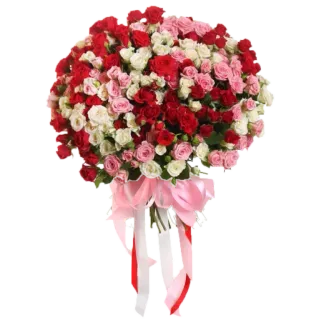 💐 4eb5aff3 bunga, buket, mawar, rangkaian bunga, hadiah, perayaan, merah muda, merah, putih telegram sticker