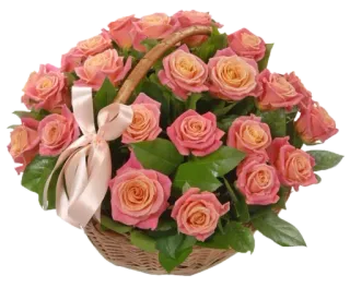 💐 91ac7c2c bunga, mawar, keranjang, rangkaian bunga, merah muda, persik telegram sticker