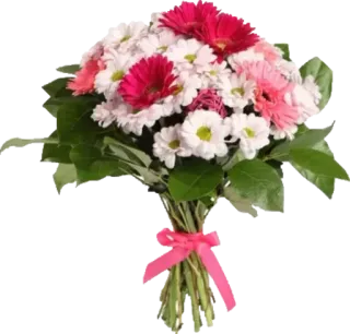 🌹 96a08474 bunga, buket, motif bunga, gerbera, daisy, merah muda, rangkaian telegram sticker