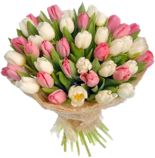 🌹 b1d3616a bunga, tulip, buket, musim semi, berbunga, hadiah telegram sticker