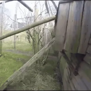 😛 43824f72 telegram sticker