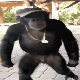 🤩 45e51666 шимпанзе, обезьяна, животное, млекопитающее, человекообразная обезьяна, шляпа, цепь telegram sticker