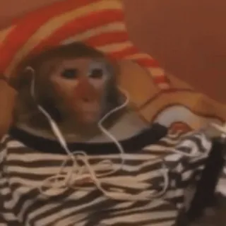 🎧 816ae4f4 обезьяна, наушники, животное, полосатая футболка, млекопитающее telegram sticker