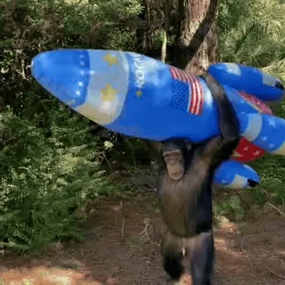 🚀 d7dd7b57 KOCA обезьяна, ракета, шимпанзе, животное, природа, юмор telegram sticker