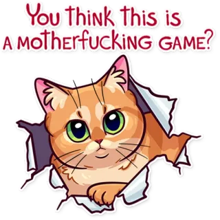 😐 69ad097d You think this is A MOTHERFUCKING GAME? 猫, 生气, 搞笑, 梗, 游戏, 动物 telegram sticker