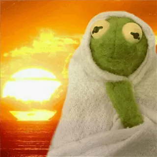 🌾 03290af6 Kermit kermit, kikker, muppets, zonsondergang, ontspannen, handdoek telegram sticker