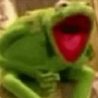 😐 1924ad3c Kermit the Frog kermit, kikker, meme, muppet, geschrokken telegram sticker