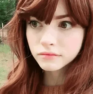 🎾 1846ca35 telegram sticker