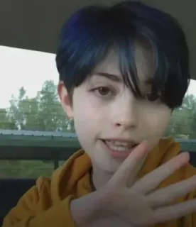 🎾 9e5c87c3 persona, adulto joven, pelo azul, retrato, interior, selfie telegram sticker