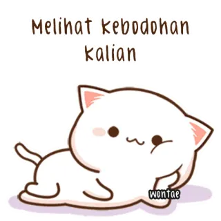 🍥 17aef968 Melihat kebodohan kalian kot, słodki, śmieszny, naklejka, kreskówka telegram sticker