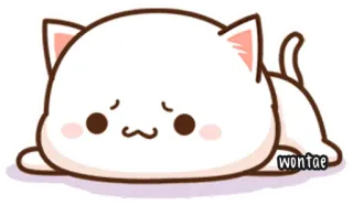 🍥 35b86e4b wontae kot, słodki, zwierzę, kawaii, naklejka telegram sticker