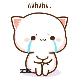 🍥 4ab1e1f8 hvhvhv. kot, płacz, smutny, kawaii, słodki, naklejka telegram sticker