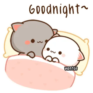 🍥 66228da4 Goodnight~ wonTae dobranoc, koty, słodkie, śpiący, kawaii, kreskówka telegram sticker
