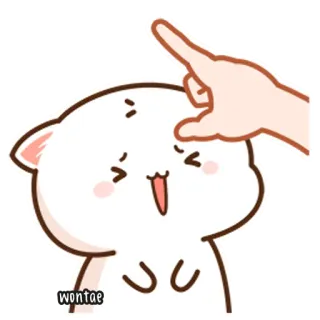 🍥 78d2dc16 wontae kot, słodki, zwierzę, palec, szczęśliwy telegram sticker