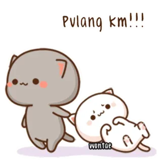 🍥 bd71ee68 Pulang km!!! kot, słodki, kreskówka, zwierzę telegram sticker