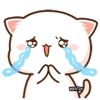 🍥 d70023bd wontae kot, płaczący, smutny, słodki, kawaii, błagalny, łzy telegram sticker