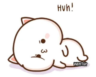 🍥 e8878f2a Huh! kot, słodki, kreskówka, zwierzę telegram sticker
