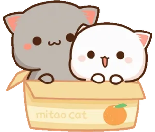 ♥️ 5a54b453 mitao cat แมว, น่ารัก, คาวาอิ, กล่อง, สัตว์, การ์ตูน, สติกเกอร์ telegram sticker