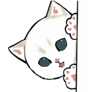 😃 133817a1 고양이, 새끼 고양이, 빼꼼, 흰 고양이, 귀여운, 동물 telegram sticker