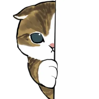 😶 5c60d5bd 고양이, 새끼 고양이, 빼꼼, 귀여운, 애완 동물, 동물 telegram sticker