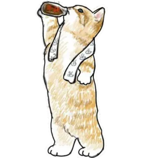 🥛 36202e70 gatto, animale, bere, illustrazione, carino, sciarpa, bottiglia telegram sticker
