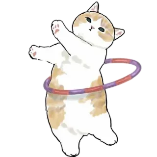 💃 78b0c028 gatto, hula hoop, animale, carino, animale domestico, esercizio telegram sticker