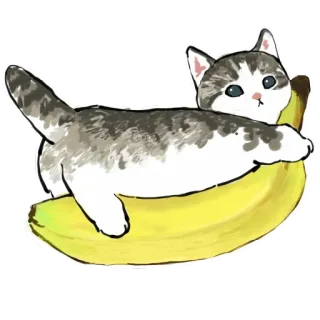 🍌 91e3c640 gatto, banana, carino, animale, adesivo, grigio, bianco, gattino telegram sticker