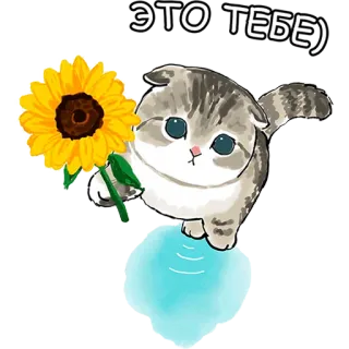 🤗 067911f0 ЭТО ТЕБЕ) chat, tournesol, mignon, animal, fleur telegram sticker