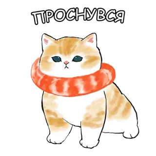 😀 142bc230 ПРОСНУВСЯ chat, chaton, orange, réveil, mignon telegram sticker