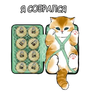 👍 5f14dba1 Я СОБРАЛСЯ chat, bière, valise, voyage, animaux telegram sticker