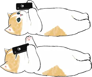🙃 63f99e17 chat, animal, smartphone, allongé, mignon telegram sticker