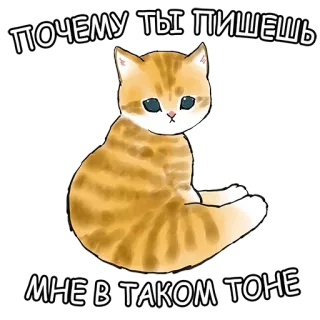 🥲 6c8f73dd ПОЧЕМУ ТЫ ПИШЕШЬ МНЕ В ТАКОМ ТОНЕ chat, mignon, triste, chaton, animal telegram sticker