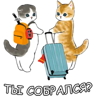 🙄 8dd79576 ТЫ СОБРАЛСЯ? chat, voyage, valise, sac à dos, animal telegram sticker