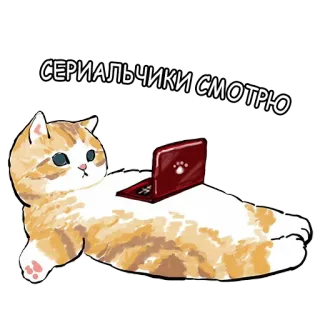 🧑‍💻 f0107d05 СЕРИАЛЬЧИКИ СМОТРЮ chat, regarde, ordinateur portable, mignon, série, dessin animé telegram sticker