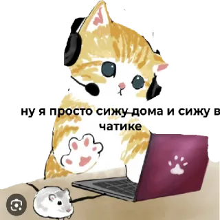 😄 fafa7ccb просто сижу в чатике gato, gatinho, computador, bate-papo, fofo, rato whatsapp sticker