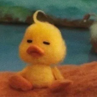 mofy duck , @opsanie whatsapp stickers