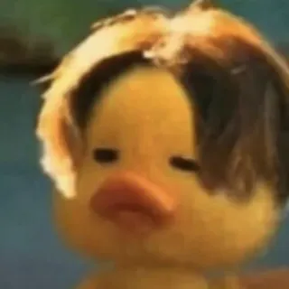 🦆 e0c10bcc Ente, Tier, Meme, Lustig whatsapp sticker