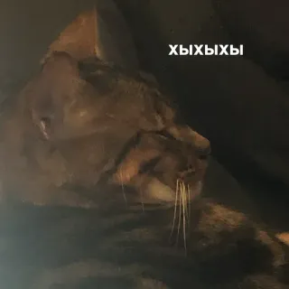 😃 3e1fabad ХЫХЫХЫ 猫, 俄语, 文本, 动物 telegram sticker