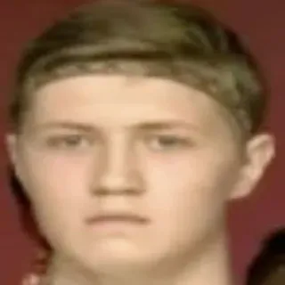 🌳 d35259b1 telegram sticker