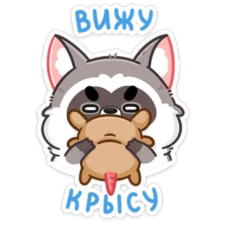 🐁 52de8921 вижу крысу dier, wasbeer, rat, cartoon whatsapp sticker