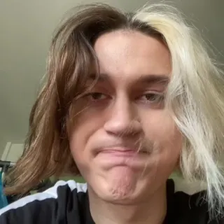 молдавская муха | @twilystickers whatsapp stickers