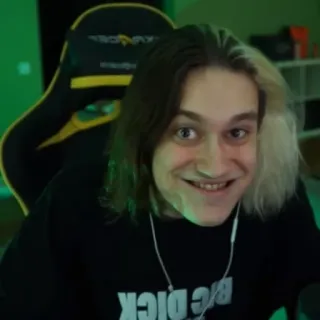 молдавская муха 2 | @twilystickers whatsapp stickers