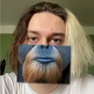 🐵 353a98d5 orango, animale, primate, faccia, barba, divertente whatsapp sticker