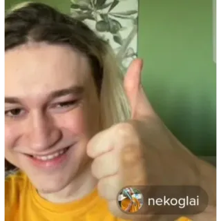 👍 5b990488 nekoglai persona, pollice, sorriso, ritratto whatsapp sticker